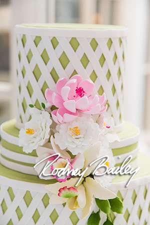 0469__1-25-15 UNVEILED WASHINGTONIAN BRIDE and GROOM_Photography by Rodney Bailey_Bride and Groom Magazine_Wedding Photography by Rodney Bailey
