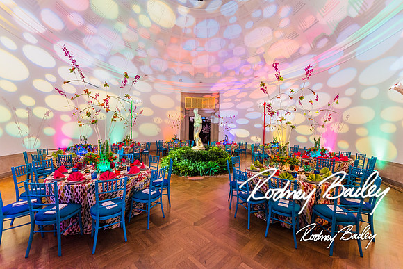 4-25-14 CORCORAN BALL DECOR_Rodney Bailey Photography_EventPhotojournalism_0626