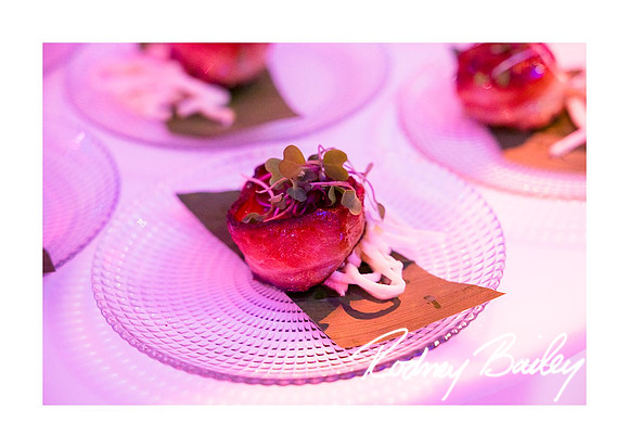 0858_1-11-25_Paul-50th-Birthday-Celebration-Renwick-Gallery-Washington-DC-Rodney-Bailey-Photography