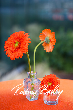 0075__6-21-25_Mark-Schramek-Kevin-Tarpey-wedding-HQO-events-DC-Rodney-Bailey-Photography