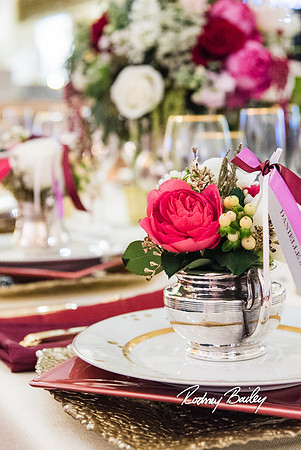 0162__3-1-15_Capital Bridal Affair and Fashion Show_The Mayflower Renaissance_Washington DC_Wedding Photography by Rodney Bailey