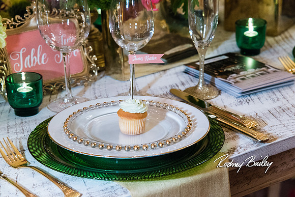 0258__3-1-15_Capital Bridal Affair and Fashion Show_The Mayflower Renaissance_Washington DC_Wedding Photography by Rodney Bailey