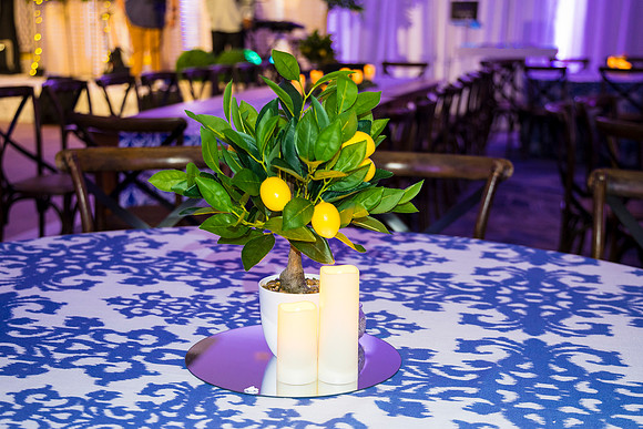 2248_2-15-26_Four-Seasons-Washington-DC-Employee-Holiday-Party-Rodney-Bailey-Event-Photography-photographer