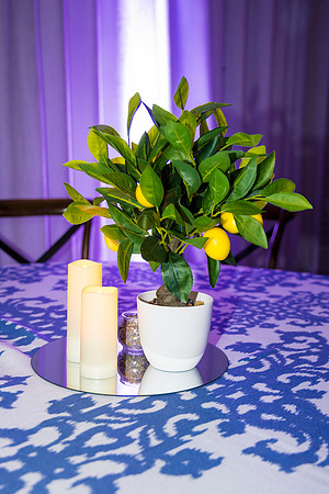 2265_2-15-26_Four-Seasons-Washington-DC-Employee-Holiday-Party-Rodney-Bailey-Event-Photography-photographer