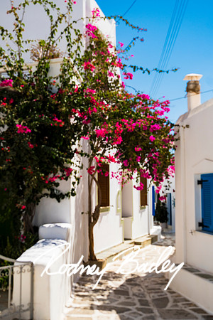PAROS-GREECE_2025_2449