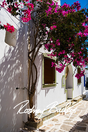 PAROS-GREECE_2025_2481