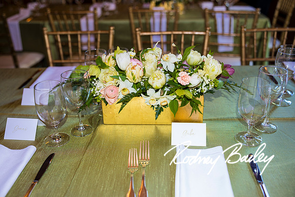 0012__4-11-26_Jackie-Sidney-Blumenthal_50th-Wedding-Anniversary-Rodney-Bailey-Photographers-Washington-DC