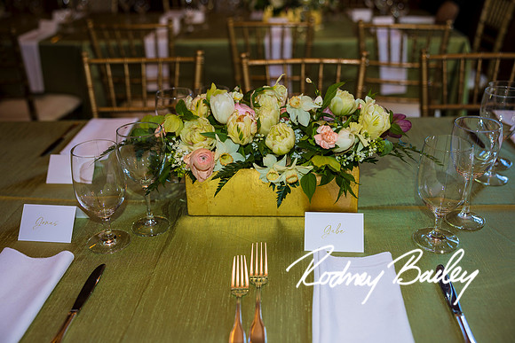 0013__4-11-26_Jackie-Sidney-Blumenthal_50th-Wedding-Anniversary-Rodney-Bailey-Photographers-Washington-DC