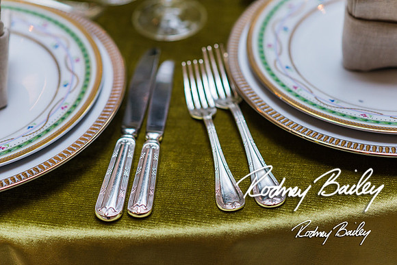 4-25-14 CORCORAN BALL DECOR_Rodney Bailey Photography_EventPhotojournalism_0512