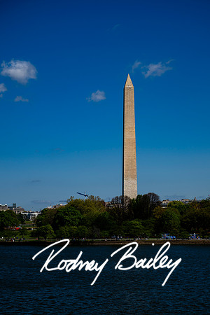 0010__4-11-26_James-Flynn-Marriage-Proposal-Photos-Washington-DC-Rodney-Bailey-Photography