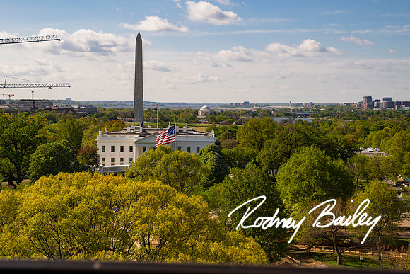 0006__4-11-26_James-Flynn-Marriage-Proposal-Photos-Washington-DC-Rodney-Bailey-Photography