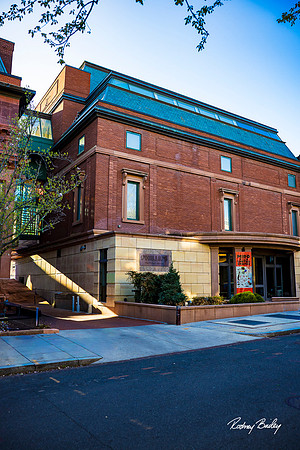 Phillips-Collection-Museum-Wedding-Washington-DC-Photographers-Rodney-Bailey-Photography__0431