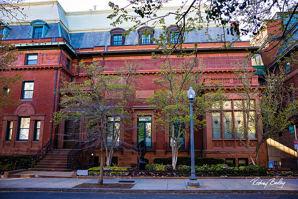 Phillips-Collection-Museum-Wedding-Washington-DC-Photographers-Rodney-Bailey-Photography__0441