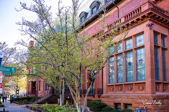 Phillips-Collection-Museum-Wedding-Washington-DC-Photographers-Rodney-Bailey-Photography__0451