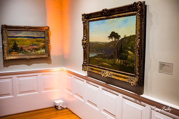Phillips-Collection-Museum-Wedding-Washington-DC-Photographers-Rodney-Bailey-Photography__0464