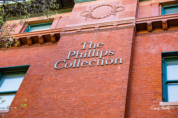 Phillips-Collection-Museum-Wedding-Washington-DC-Photographers-Rodney-Bailey-Photography__0463