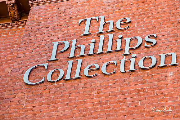 Phillips-Collection-Museum-Wedding-Washington-DC-Photographers-Rodney-Bailey-Photography__0466