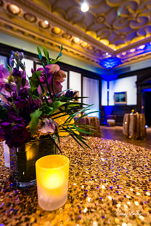 Phillips-Collection-Museum-Wedding-Washington-DC-Photographers-Rodney-Bailey-Photography__0482