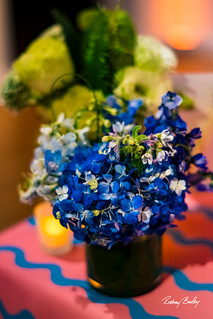 Phillips-Collection-Museum-Wedding-Washington-DC-Photographers-Rodney-Bailey-Photography__0518