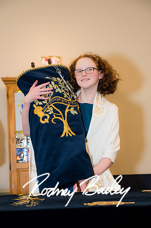 0019__12-3-22__Kate-Franck-Bat-Mitzvah-Photographers-Beth-Chaverim-Reform-Congregation-Virginia