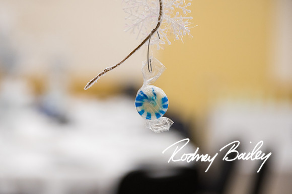0096__12-3-22__Kate-Franck-Bat-Mitzvah-Photographers-Beth-Chaverim-Reform-Congregation-Virginia