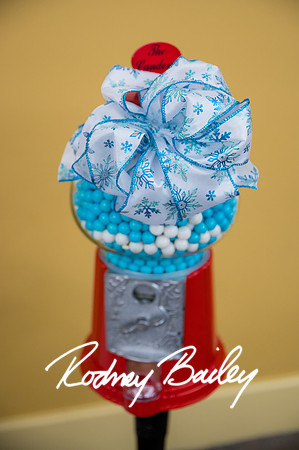 0119__12-3-22__Kate-Franck-Bat-Mitzvah-Photographers-Beth-Chaverim-Reform-Congregation-Virginia