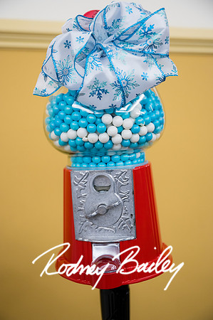 0120__12-3-22__Kate-Franck-Bat-Mitzvah-Photographers-Beth-Chaverim-Reform-Congregation-Virginia