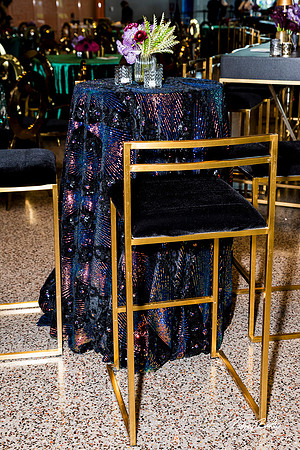 National-Museum-of-African-American-Museum-Washington-DC-event-photos-Rodney-Bailey-Photography__0079