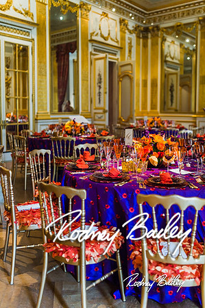 4-25-14 CORCORAN BALL DECOR_Rodney Bailey Photography_EventPhotojournalism_0382
