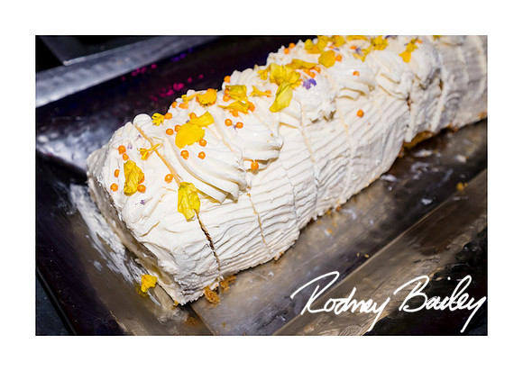 1093_1-11-25_Paul-50th-Birthday-Celebration-Renwick-Gallery-Washington-DC-Rodney-Bailey-Photography