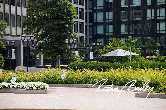 0028__6-26-26_Joshua-Charity-Danen-Arlington-National-Landing-Virginia-Wedding-Rodney-Bailey-Photography