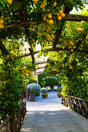 0002__ITALY-2026_SORENTO-POSTITANO-AMAFI-RAVELLO-VIESTE