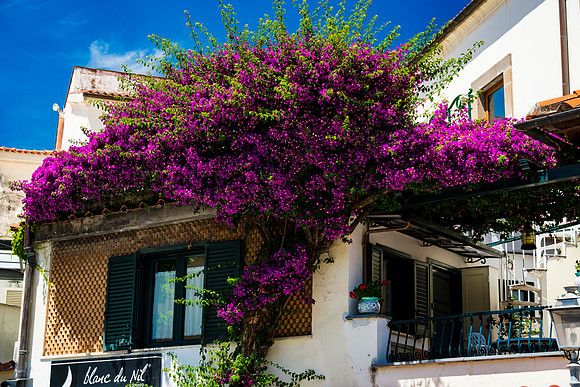 0119__ITALY-2026_SORENTO-POSTITANO-AMAFI-RAVELLO-VIESTE