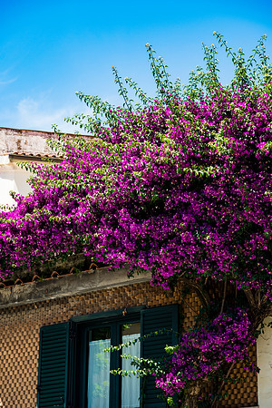 0120__ITALY-2026_SORENTO-POSTITANO-AMAFI-RAVELLO-VIESTE