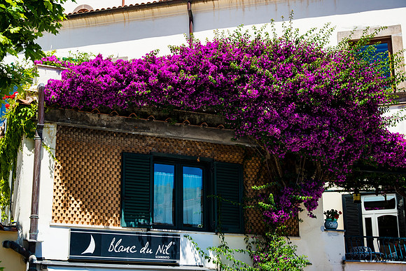 0121__ITALY-2026_SORENTO-POSTITANO-AMAFI-RAVELLO-VIESTE