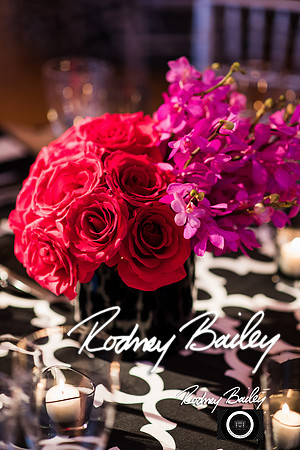 0040__10-17-14 MERIDIAN BALL_RODNEY BAILEY PHOTOGRAPHY_Meridian House Washington DC