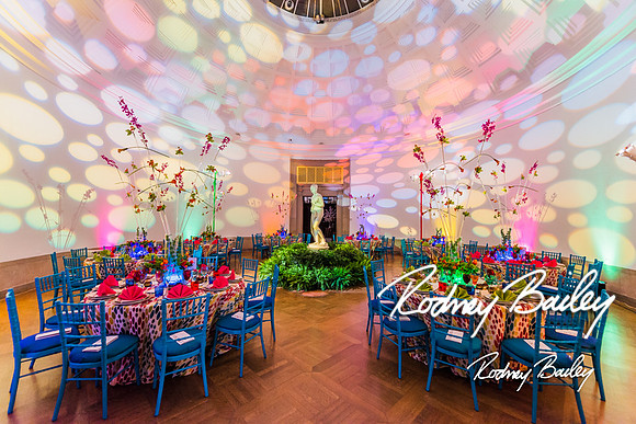 4-25-14 CORCORAN BALL DECOR_Rodney Bailey Photography_EventPhotojournalism_0627