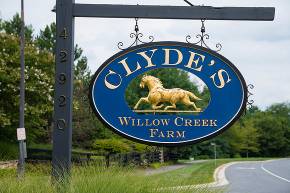 0001__8-1-26_Nida-Hamza-Engagement-Party-Clydes-Willow-Creek-Farm-VA-Rodney-Bailey-Photography