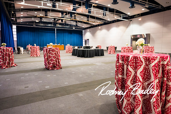 ITCDC-Ronald-Reagan-Building-and-International-Trade-Center-Washington-DC-EventPhotojournalism-conference-photographers-convention-photography__0140