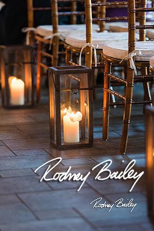 Virginia-Winery-Vineyard-Weddings-Ceremony-Reception-VA-Photographer_0019