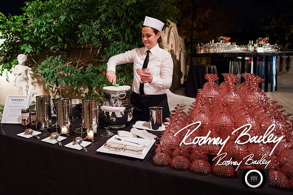 0120__10-17-14 MERIDIAN BALL_RODNEY BAILEY PHOTOGRAPHY_Meridian House Washington DC