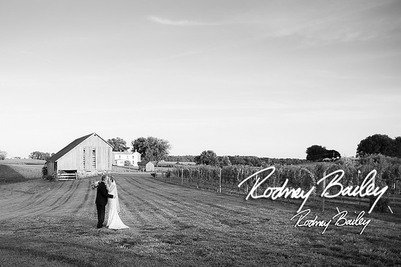 Virginia-Winery-Vineyard-Weddings-Ceremony-Reception-VA-Photographer_0026