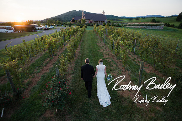 Virginia-Winery-Vineyard-Weddings-Ceremony-Reception-VA-Photographer_0028