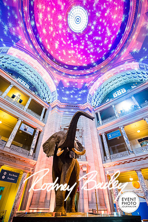 Host-Your-Event-at-the-Smithsonian-Washington-DC-event-photographers-Event-Photojournalism-photography__0086