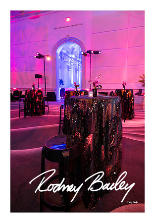1034_1-11-25_Paul-50th-Birthday-Celebration-Renwick-Gallery-Washington-DC-Rodney-Bailey-Photography
