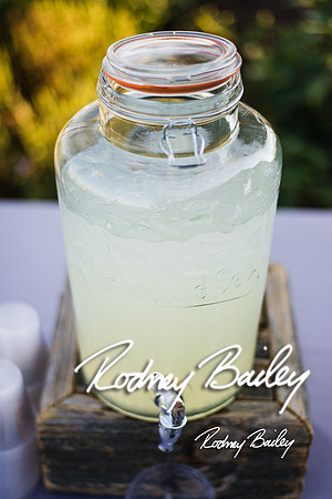 Virginia-Winery-Vineyard-Weddings-Ceremony-Reception-VA-Photographer_0023