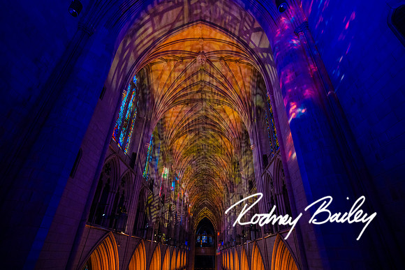 0651___6-13-2024_No-Kid-Hungry-DC-Donor-Dinner-national-Cathedral-Washington-DC-Rodney-Bailey-Photography-event-photographers