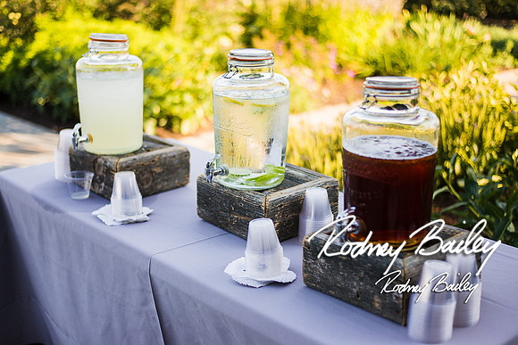 Virginia-Winery-Vineyard-Weddings-Ceremony-Reception-VA-Photographer_0022
