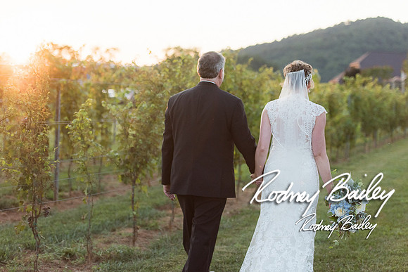 Virginia-Winery-Vineyard-Weddings-Ceremony-Reception-VA-Photographer_0029