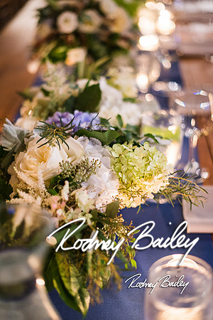 Virginia-Winery-Vineyard-Weddings-Ceremony-Reception-VA-Photographer_0031